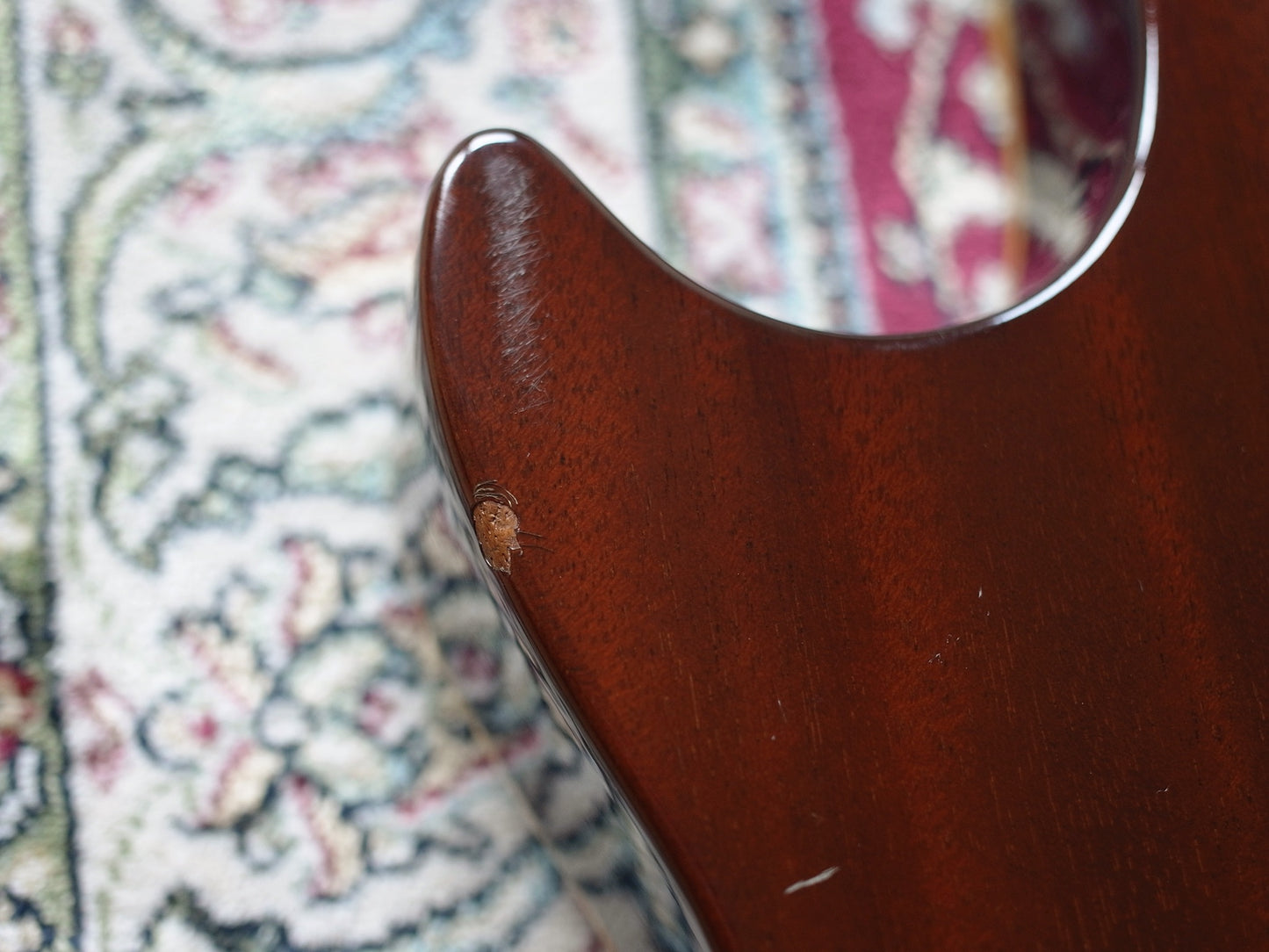 1979 Greco EG-900 in Tobacco Sunburst